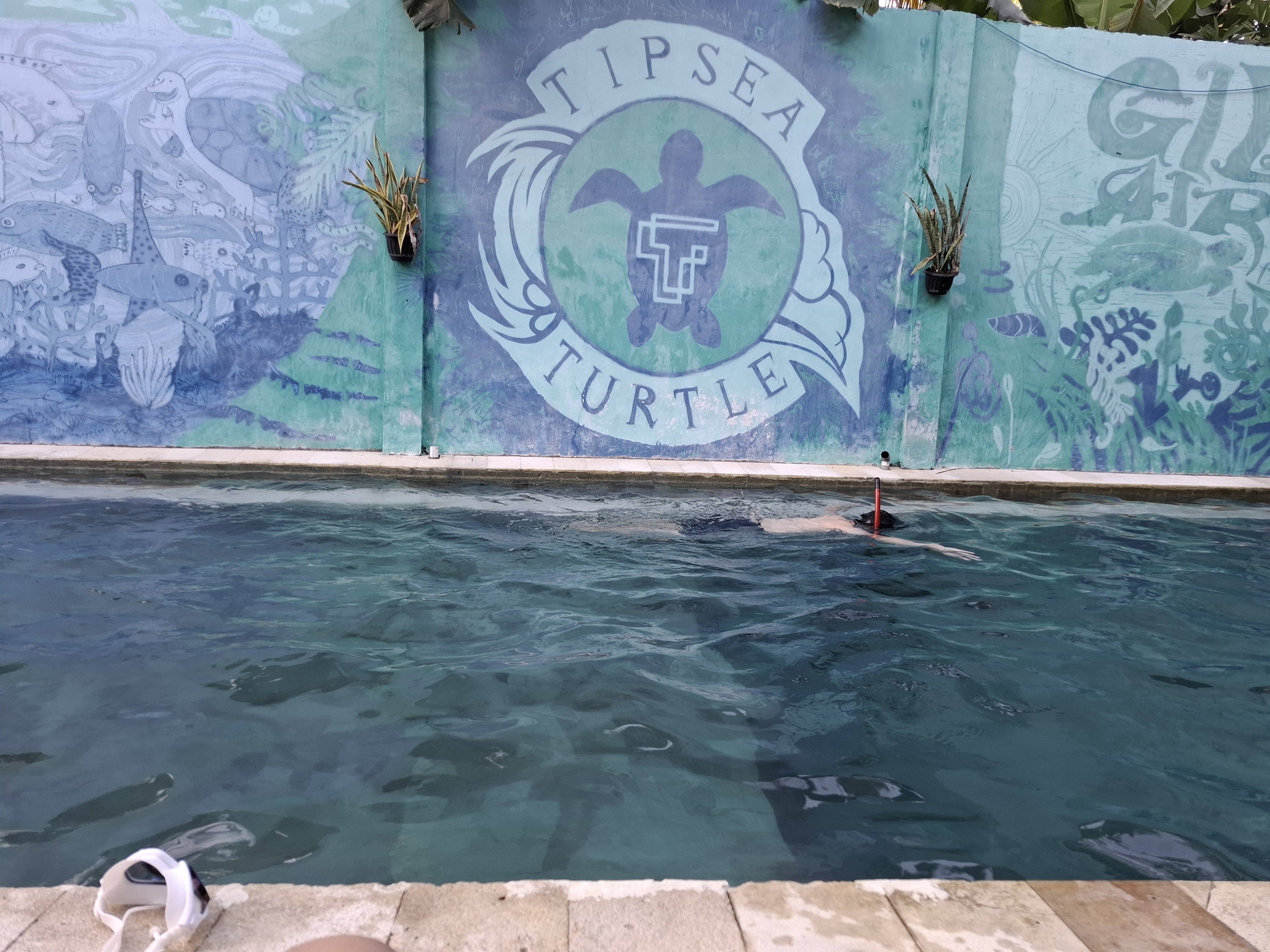 gili air tipsea 1